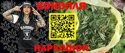 дживик Кунгур