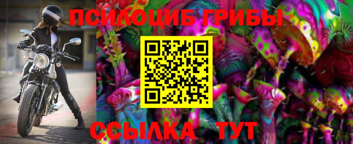 Дзержинск  Псилоцибиновые грибы Psilocybine cubensis  Вход с VPN 